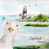 Copeland Islands